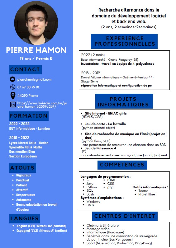 CV Pierre Hamon.jpg
