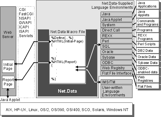 Net.Data and Language Environments